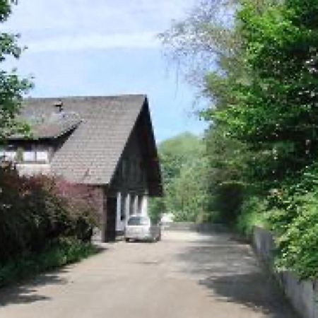 Ferienwohnungen Seeblick Unterkirnach Extérieur photo