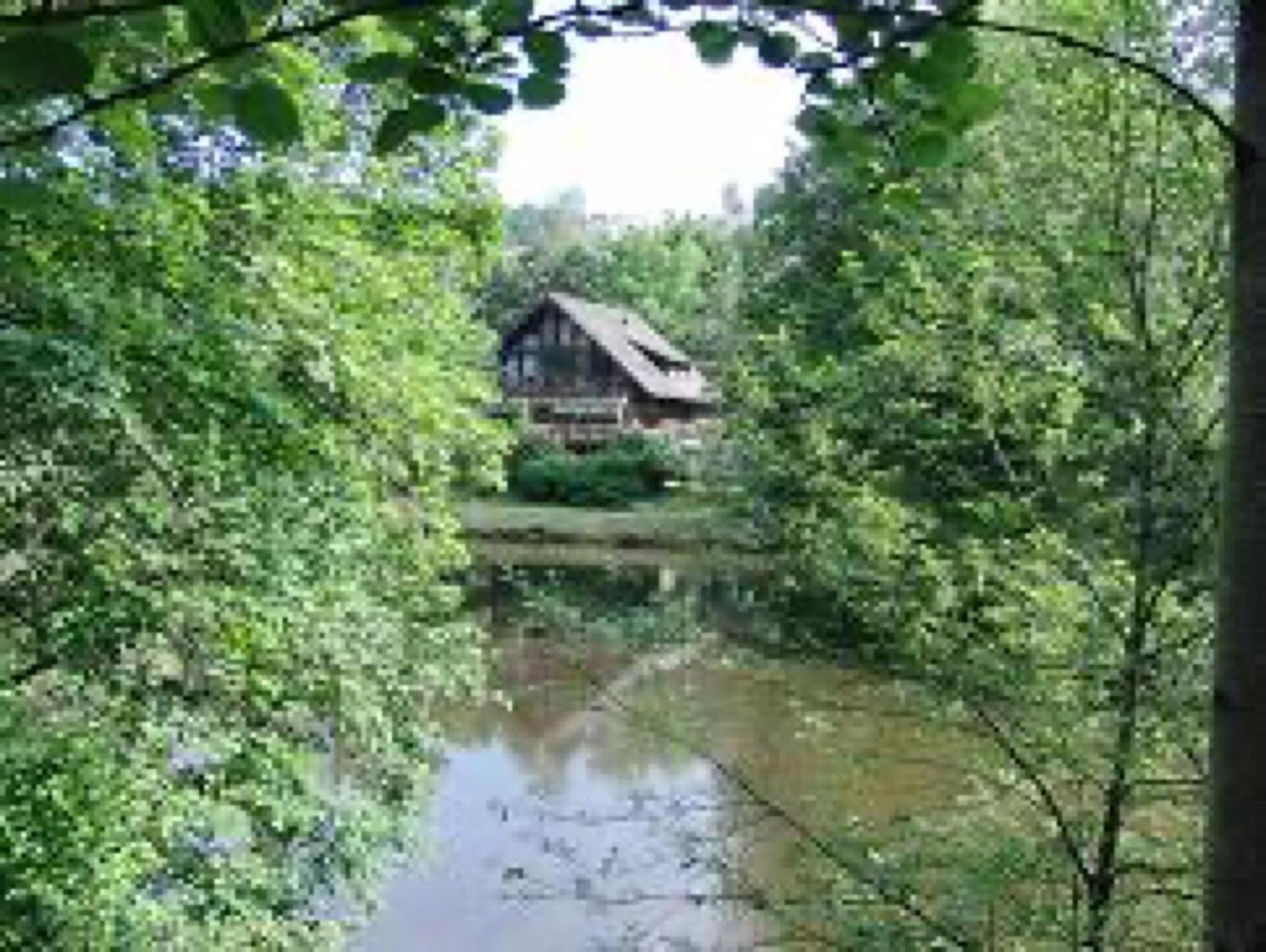 Ferienwohnungen Seeblick Unterkirnach Extérieur photo